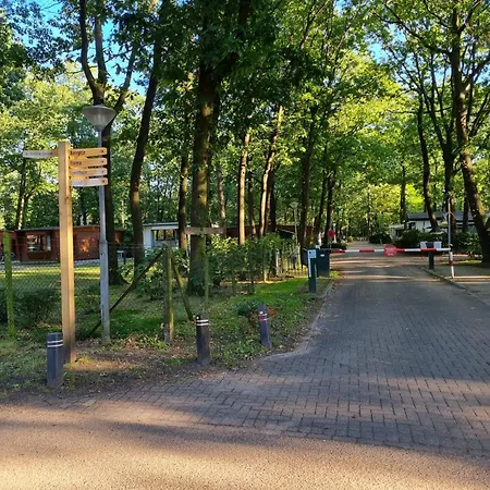 De Tip 31 Tiny * Zeeland